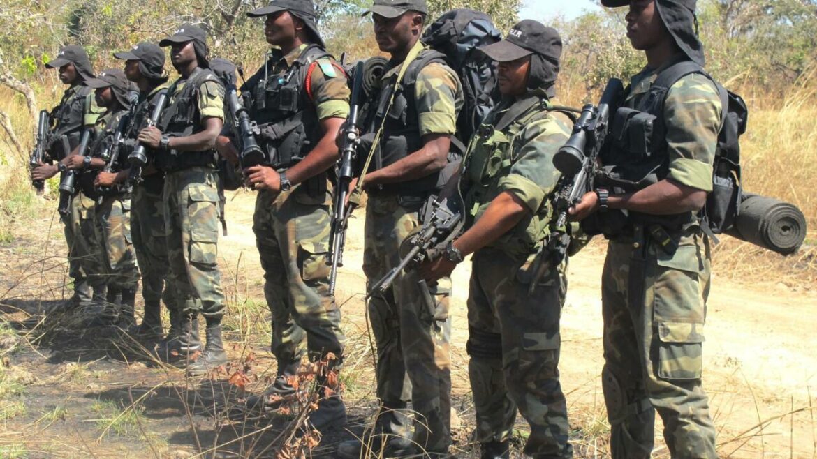 CAMEROON-POACHING-ARMY
