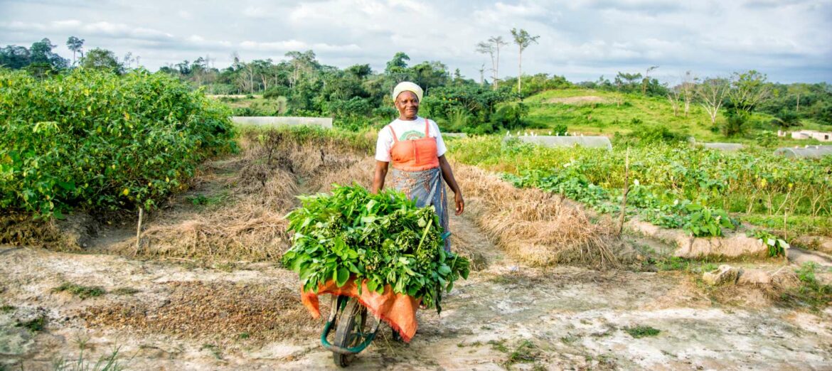 agriculture-gabon-femme-sonier-issembe