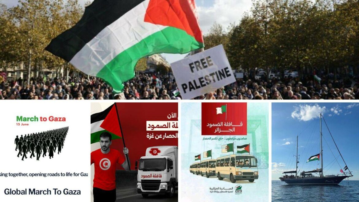 xgaza.jpg.pagespeed.ic.KeyJXmB_xz