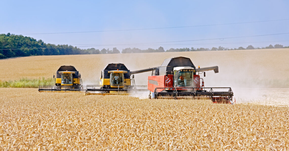 Combine harvesters working on a wheat field